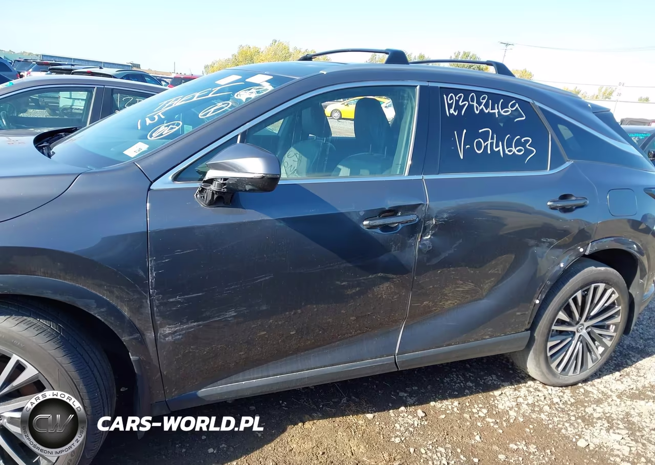 2024 Lexus Rx 350 Premium Plus VIN:2T2BAMCA9RC074663 - 14