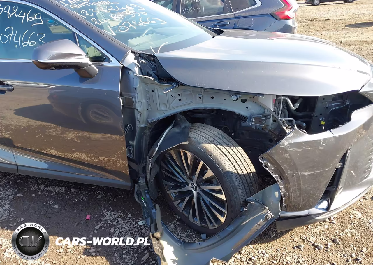 2024 Lexus Rx 350 Premium Plus VIN:2T2BAMCA9RC074663 - 19