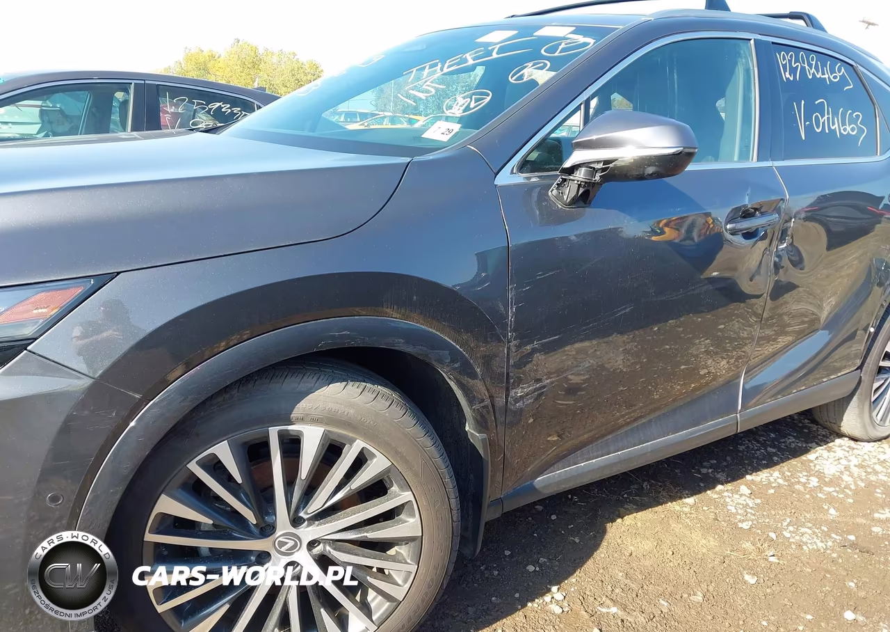 2024 Lexus Rx 350 Premium Plus VIN:2T2BAMCA9RC074663 - 6