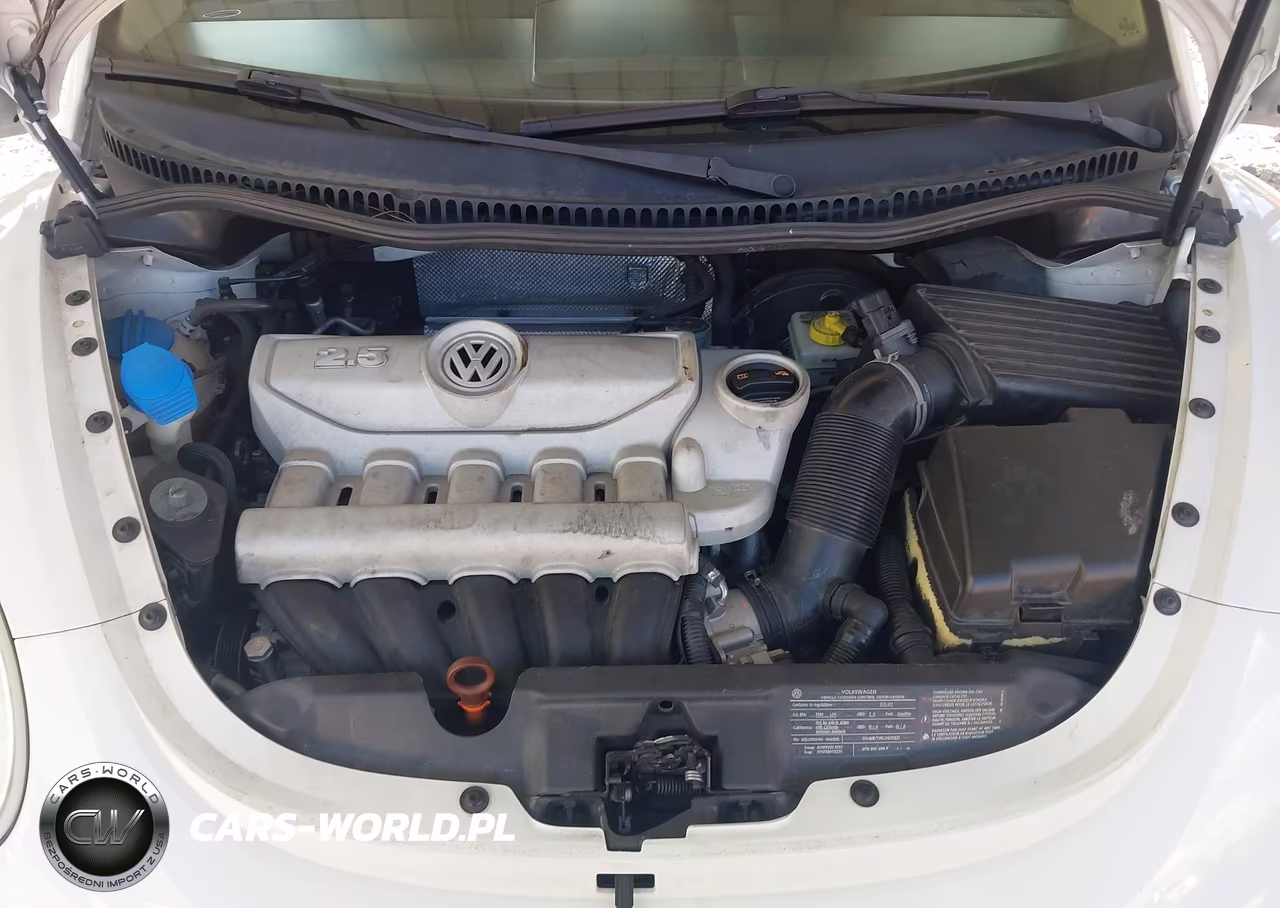 2010 Volkswagen New Beetle 2.5L VIN:3VWRW3AG1AM011815 - 10