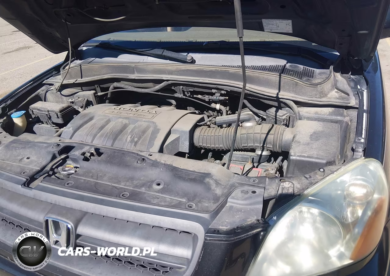 2005 Honda Pilot Ex-L VIN:5FNYF18585B020237 - 10