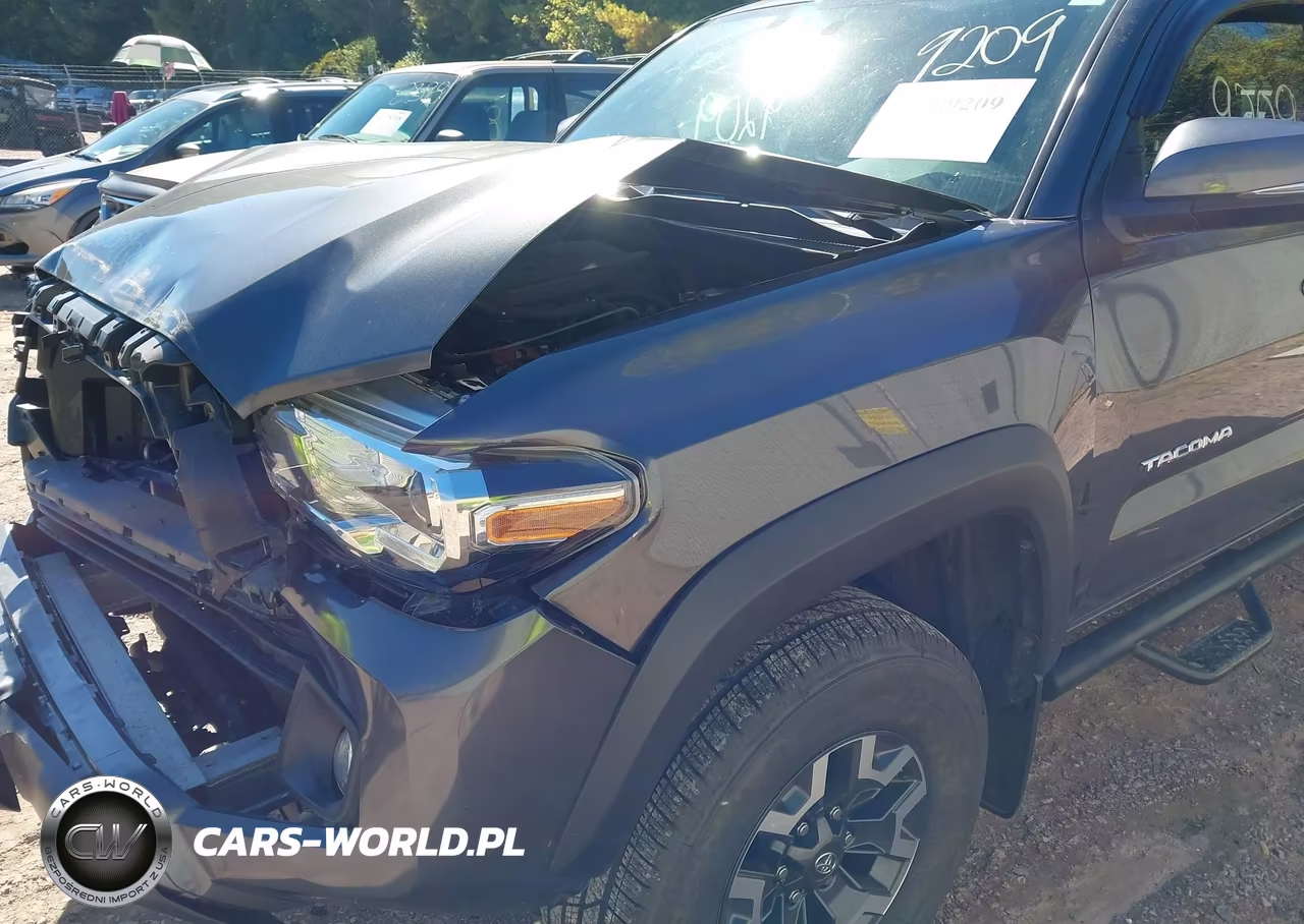 2017 Toyota Tacoma Trd Off Road VIN:3TMCZ5AN0HM053655 - 18