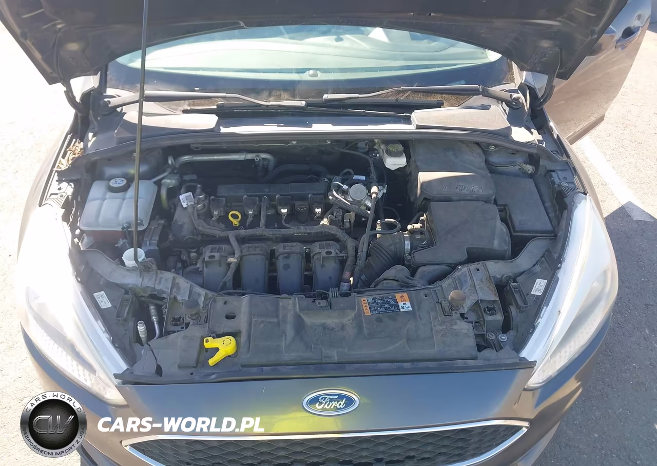 2018 Ford Focus Se VIN:1FADP3F22JL279688 - 10
