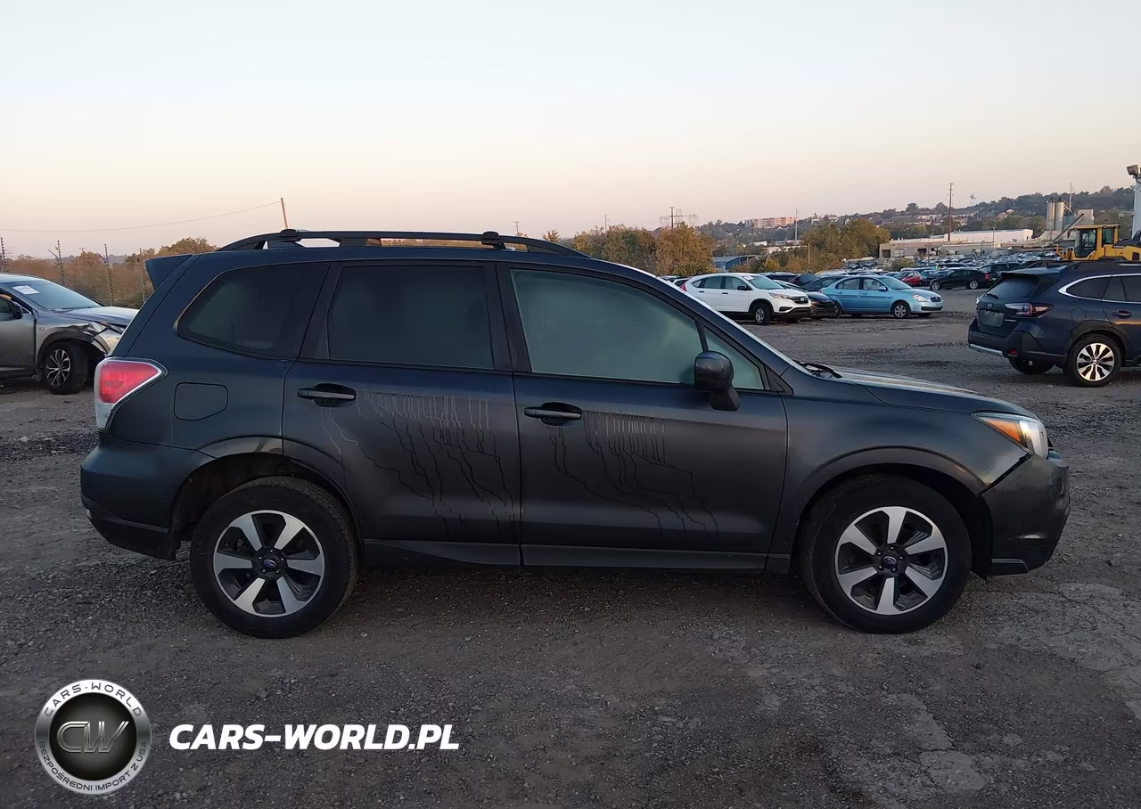 2017 Subaru Forester 2.5I Premium VIN:JF2SJAEC1HH594577 - 13