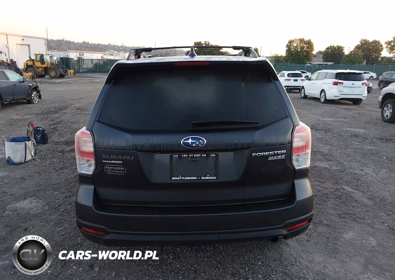 2017 Subaru Forester 2.5I Premium VIN:JF2SJAEC1HH594577 - 16