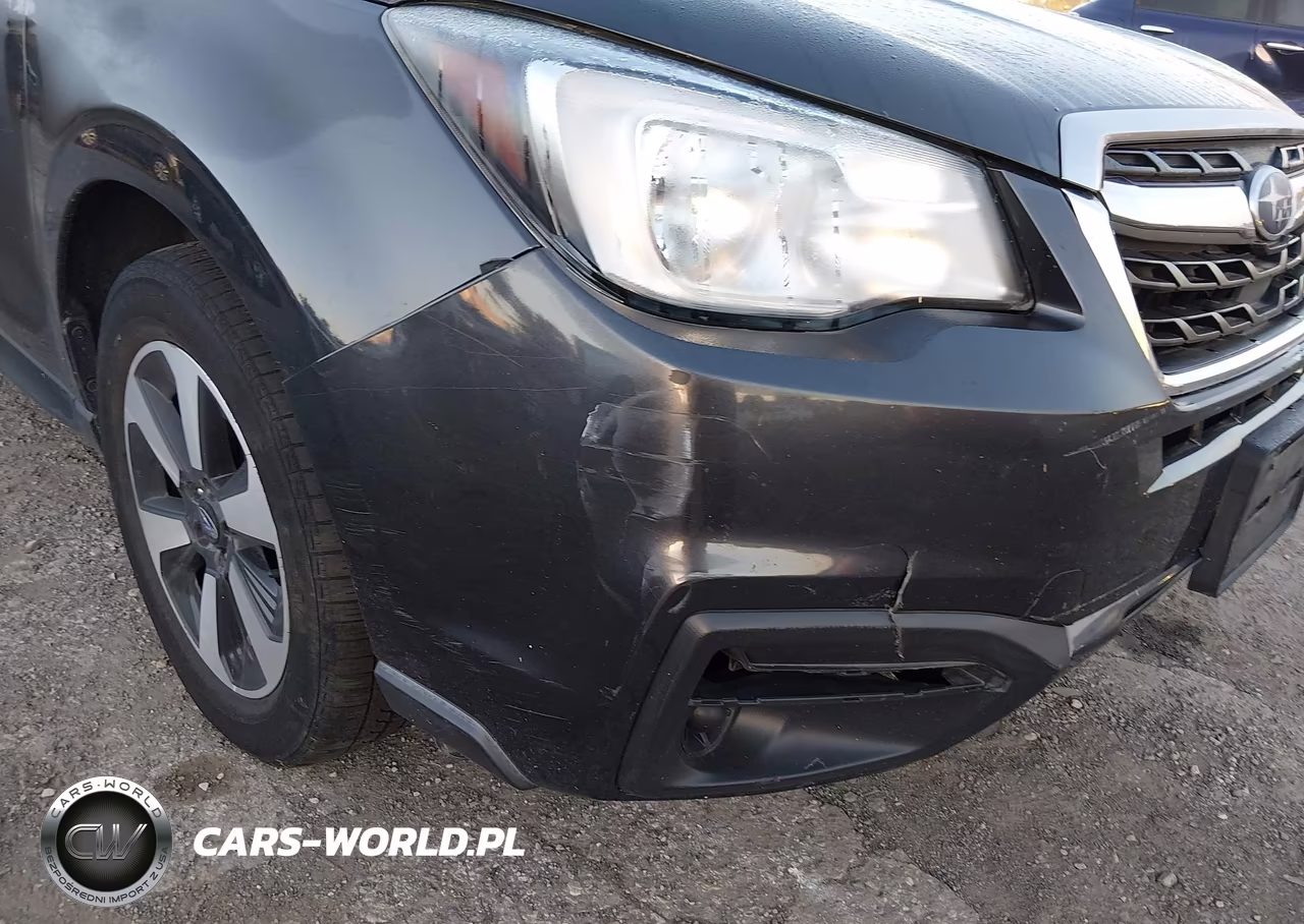 2017 Subaru Forester 2.5I Premium VIN:JF2SJAEC1HH594577 - 18