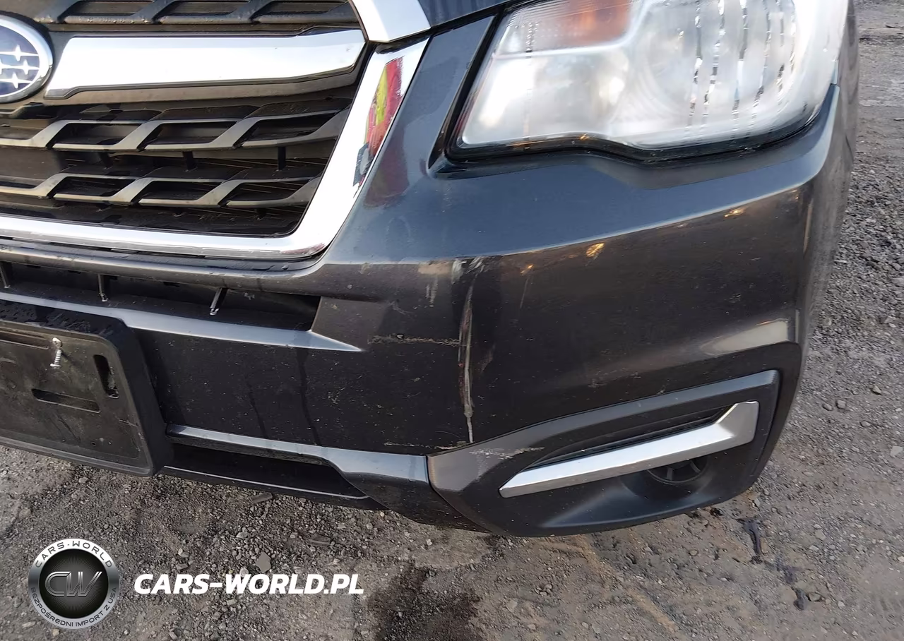 2017 Subaru Forester 2.5I Premium VIN:JF2SJAEC1HH594577 - 19