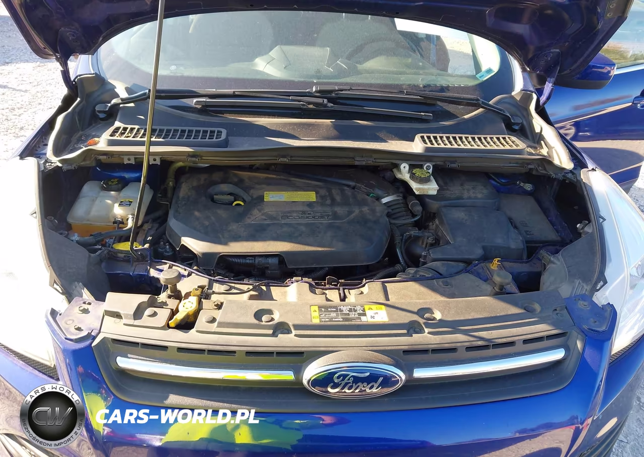 2013 Ford Escape Se VIN:1FMCU0GX0DUA38018 - 10