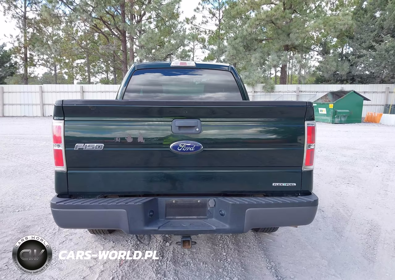 2013 Ford F-150 Xl VIN:1FTMF1CM0DFB40363 - 16