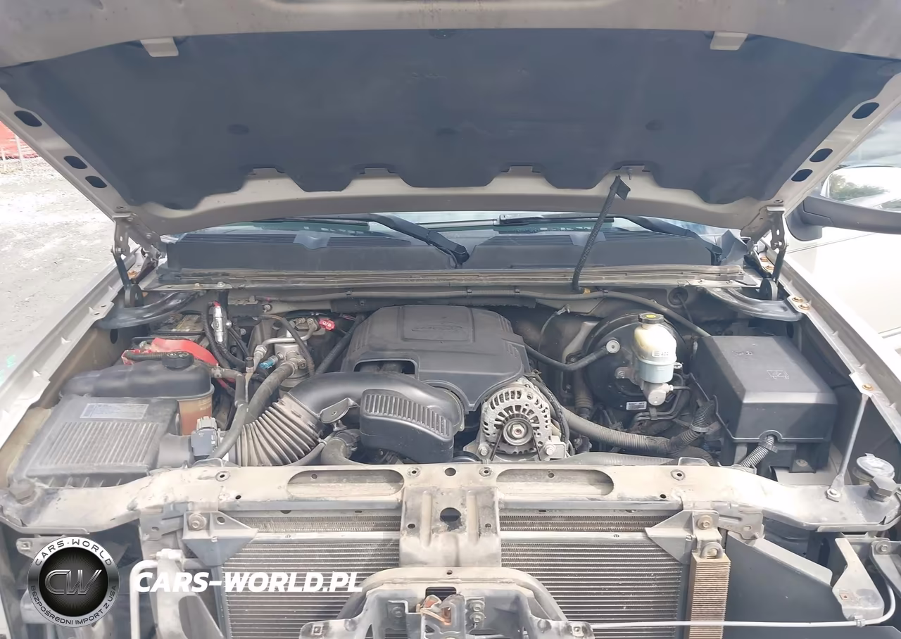 2009 Chevrolet Silverado 1500 Lt VIN:1GCEC29J79Z193101 - 10
