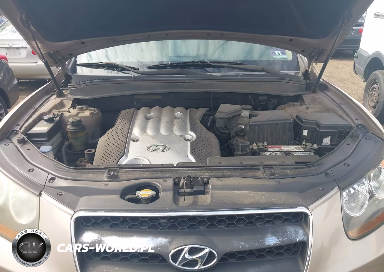 2007 Hyundai Santa Fe Gls VIN:5NMSG73D47H049854 - 10