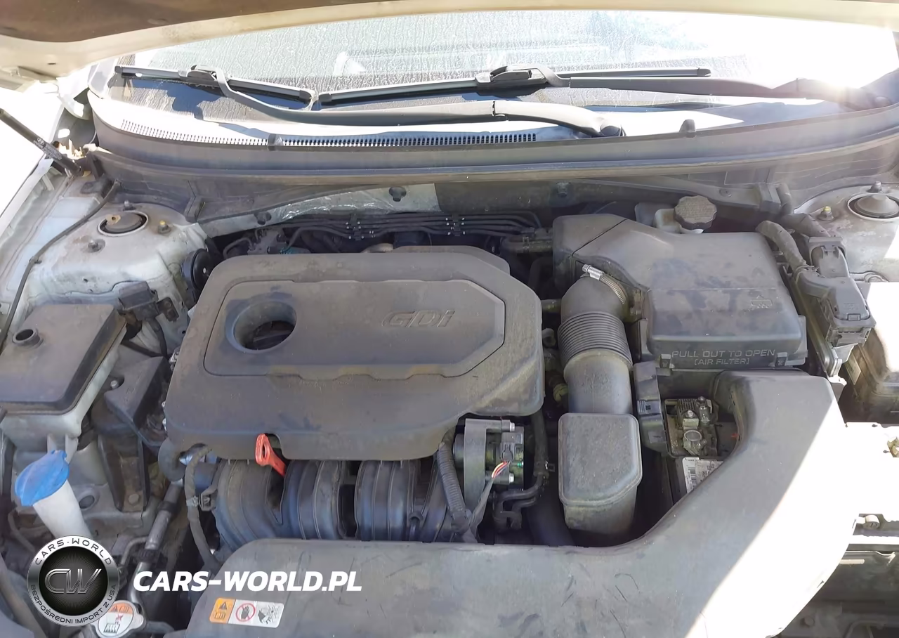 2016 Hyundai Sonata Sport VIN:5NPE34AFXGH282197 - 10