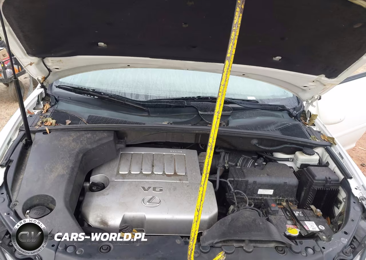 2009 Lexus Rx 350 VIN:2T2GK31U29C071551 - 10