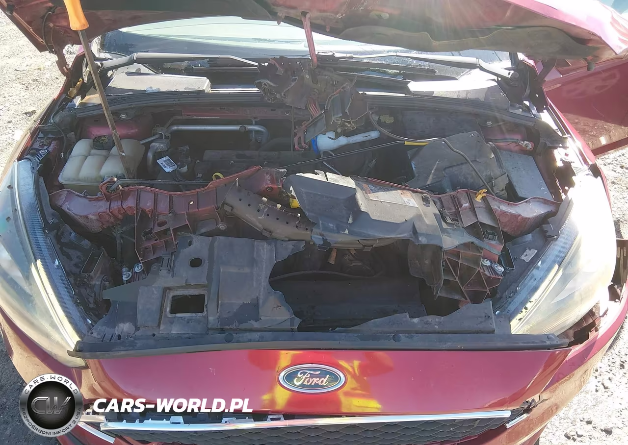 2015 Ford Focus Se VIN:1FADP3K20FL354983 - 10
