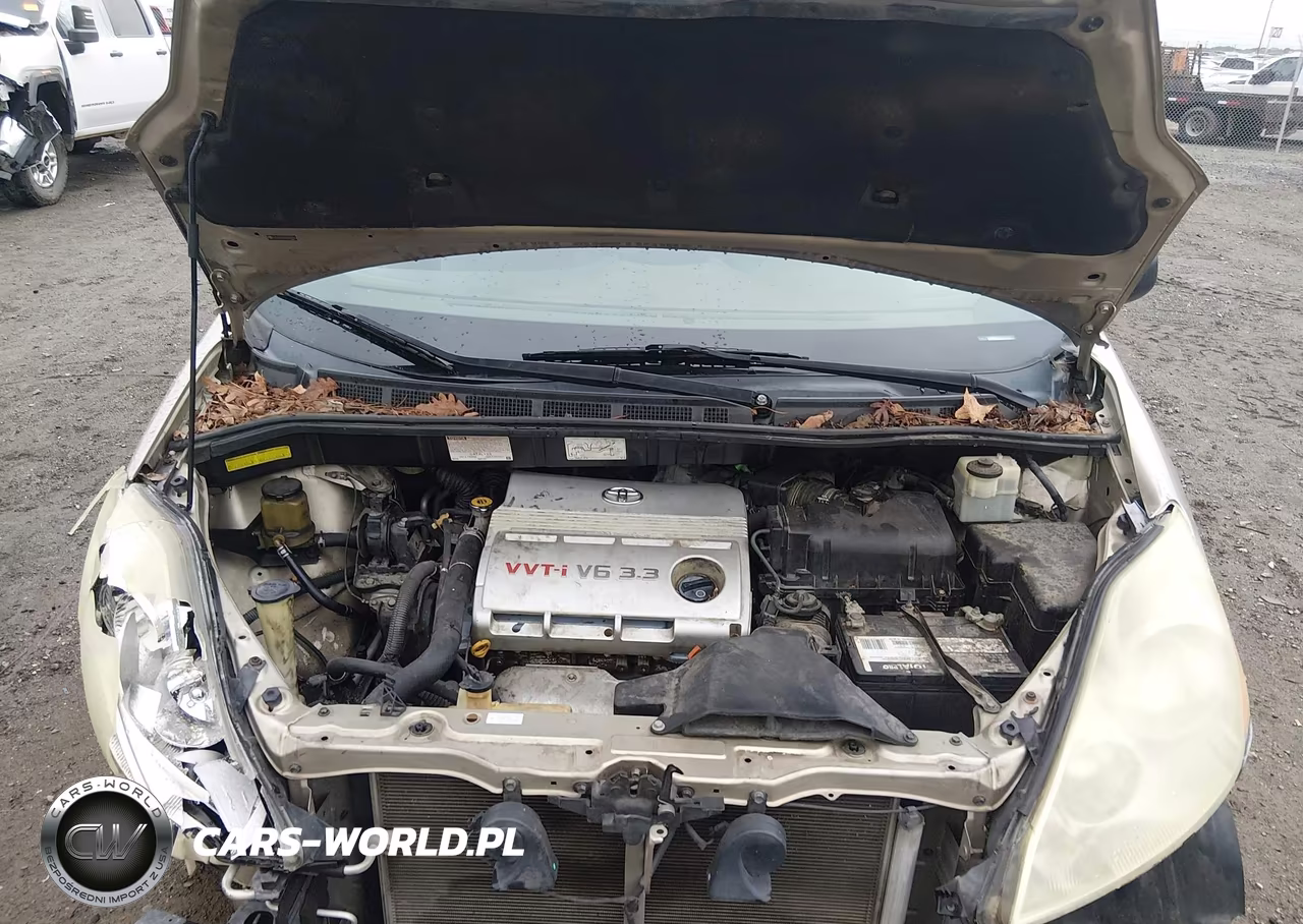2006 Toyota Sienna Ce VIN:5TDZA23C56S424513 - 10