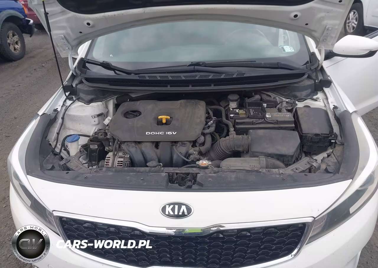 2017 Kia Forte S VIN:3KPFL4A79HE114893 - 10