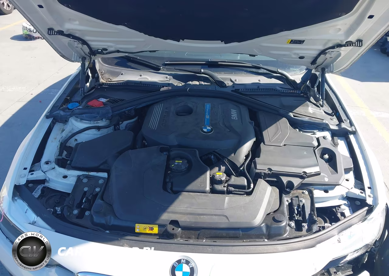 2017 BMW 330E Iperformance VIN:WBA8E1C36HA156496 - 10