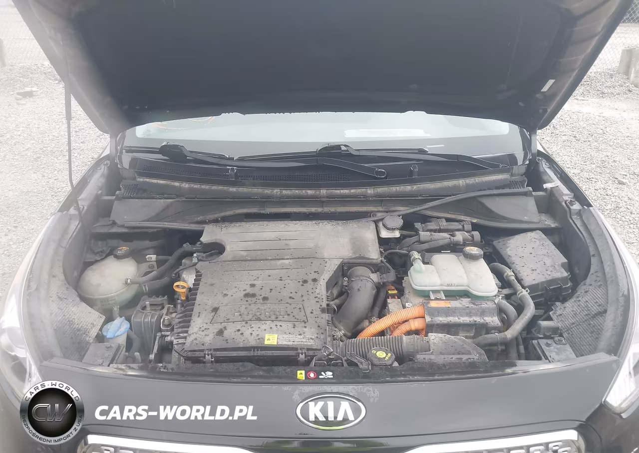 2017 Kia Niro Ex VIN:KNDCC3LC6H5065381 - 10