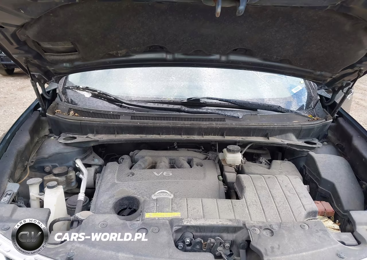 2014 Nissan Murano Sl VIN:JN8AZ1MW9EW528904 - 10