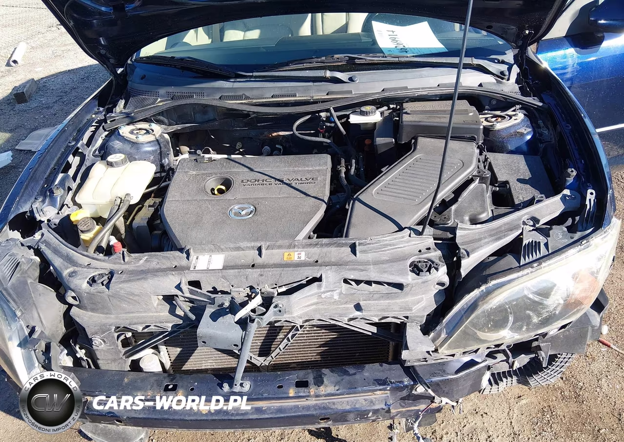 2009 Mazda Mazda3 I VIN:JM1BK32F991188806 - 10