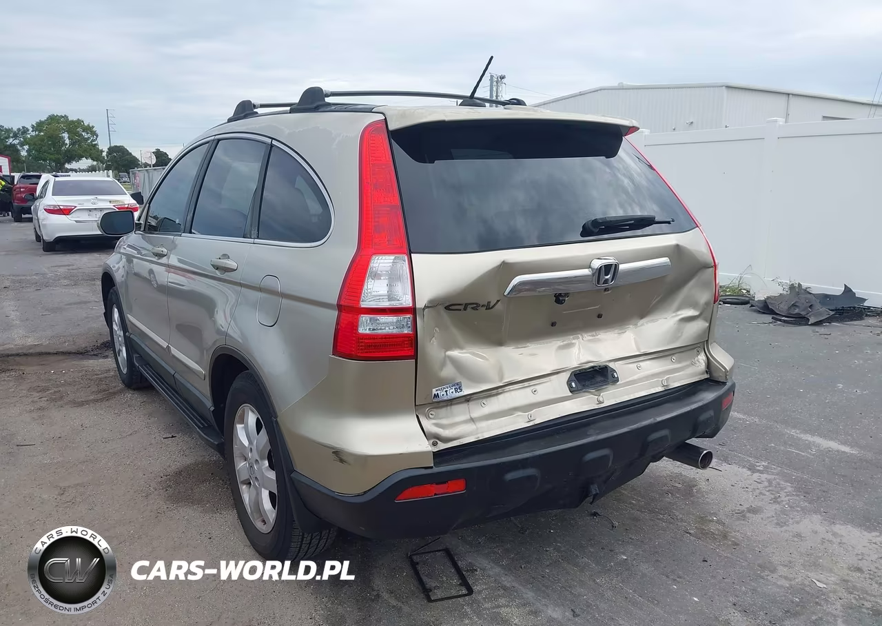 2009 Honda Cr-V Ex-L VIN:JHLRE38739C012363 - 3