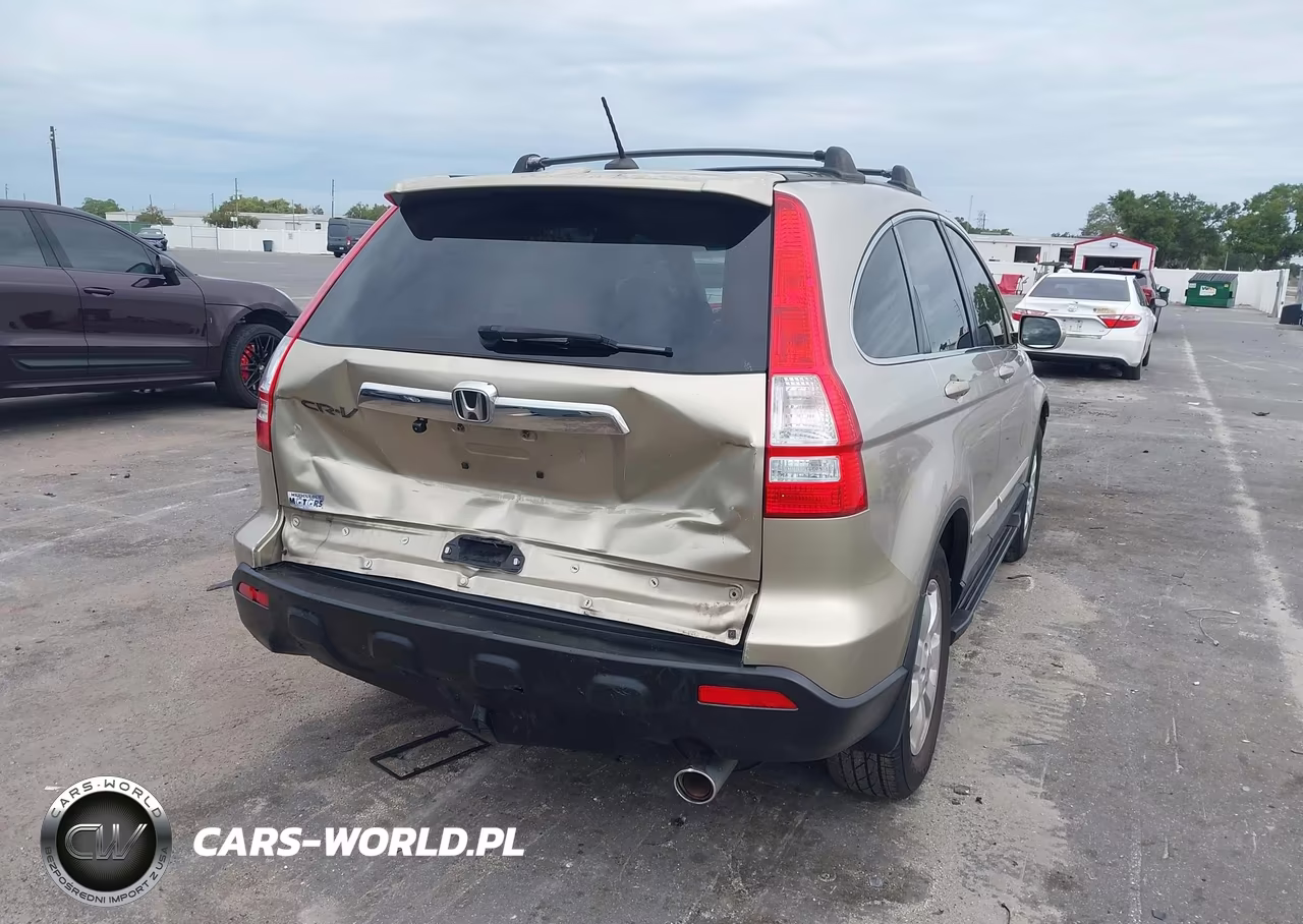 2009 Honda Cr-V Ex-L VIN:JHLRE38739C012363 - 4