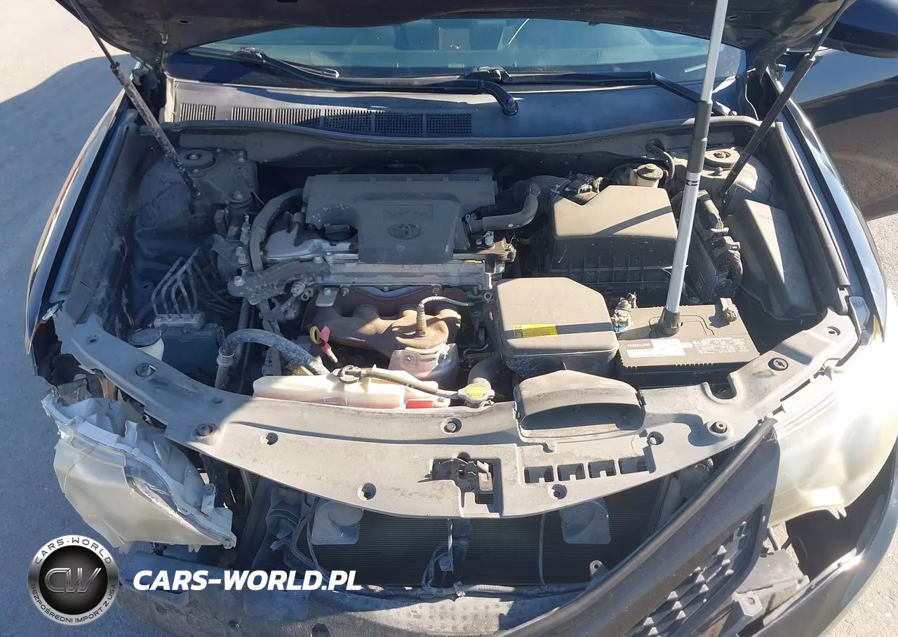 2013 Toyota Camry Se VIN:4T1BF1FK4DU257971 - 10