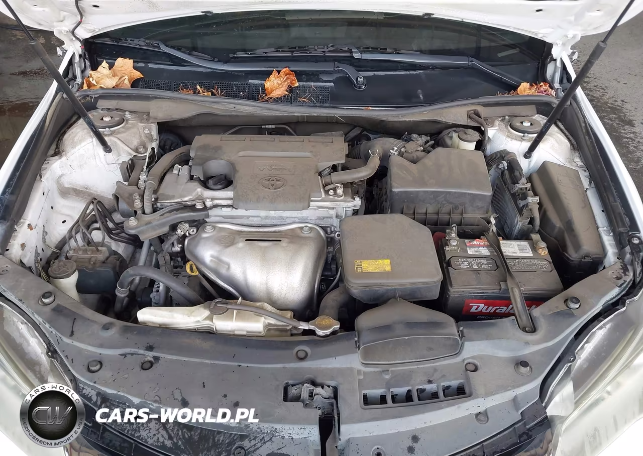 2015 Toyota Camry Se VIN:4T1BF1FK6FU019395 - 10