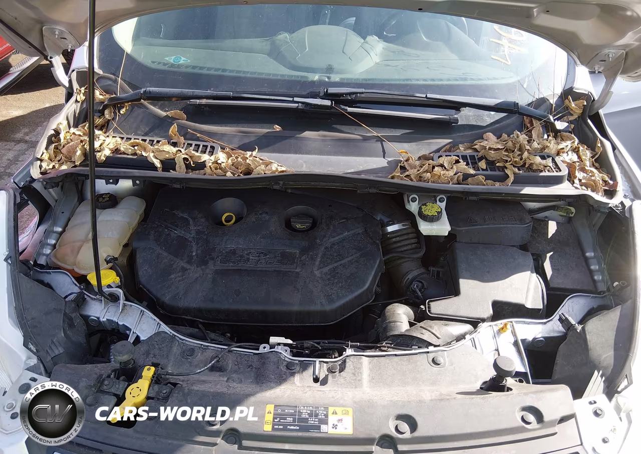 2016 Ford Escape Se VIN:1FMCU0G90GUA93509 - 10