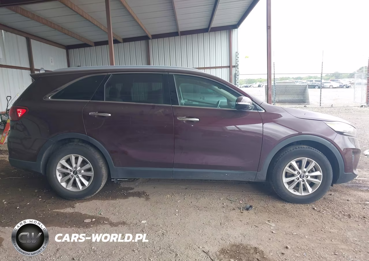2019 Kia Sorento 2.4L Lx VIN:5XYPG4A30KG555294 - 13