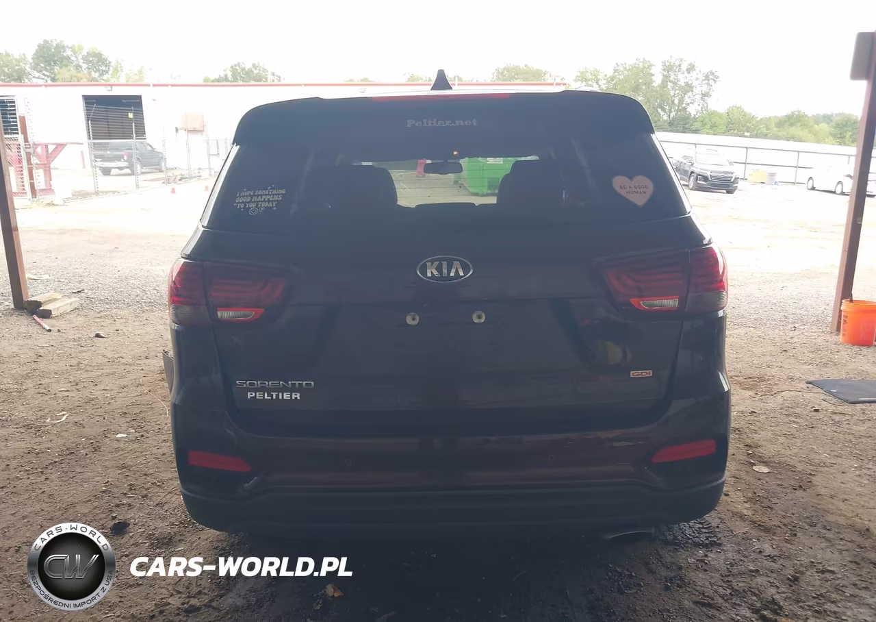 2019 Kia Sorento 2.4L Lx VIN:5XYPG4A30KG555294 - 16