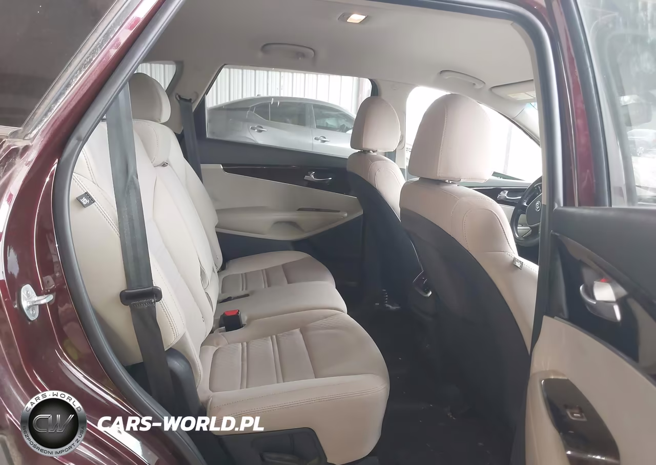 2019 Kia Sorento 2.4L Lx VIN:5XYPG4A30KG555294 - 8