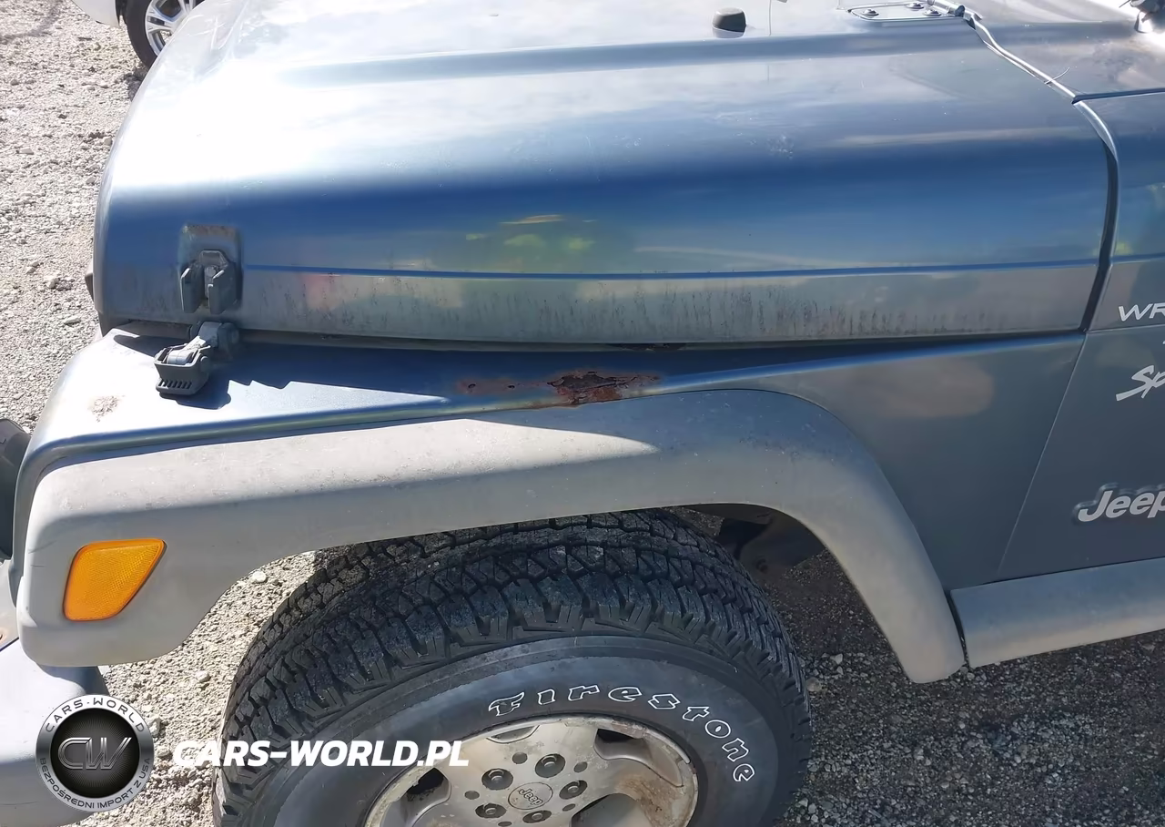 2001 Jeep Wrangler Sport VIN:1J4FA49SX1P339824 - 6