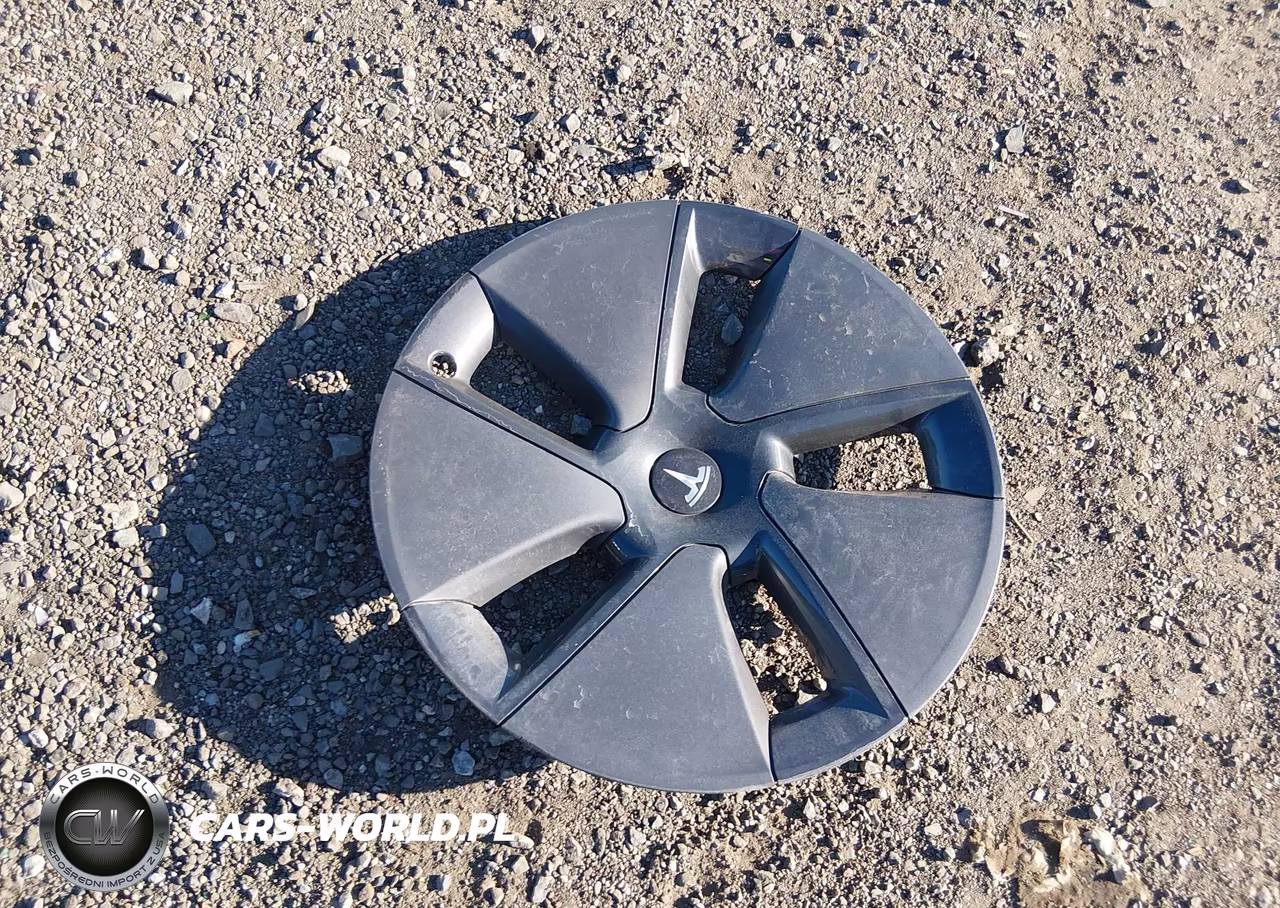 2023 Tesla Model 3 Rear-Wheel Drive VIN:5YJ3E1EA0PF692228 - 12