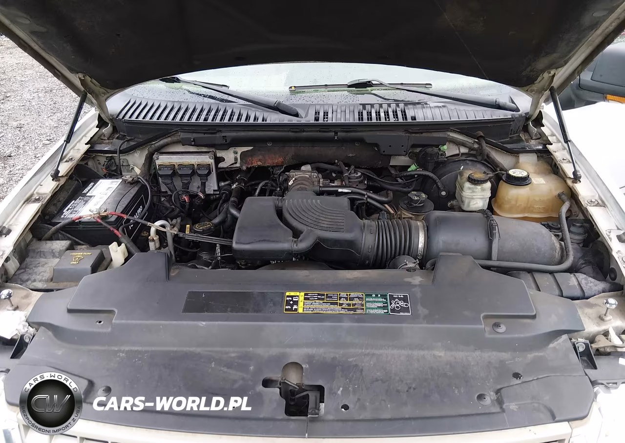 2004 Ford Expedition Eddie Bauer VIN:1FMFU18L24LA36663 - 10