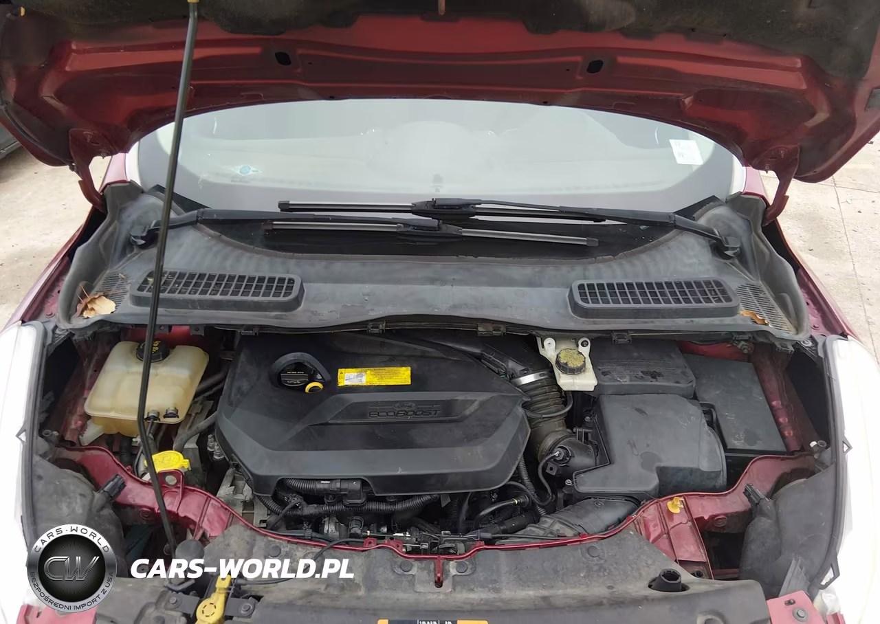 2015 Ford Escape Se VIN:1FMCU0GX3FUB49052 - 10