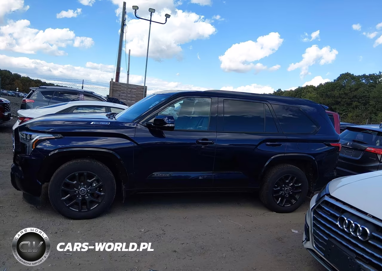2023 Toyota Sequoia Platinum VIN:7SVAAABA0PX019037 - 14