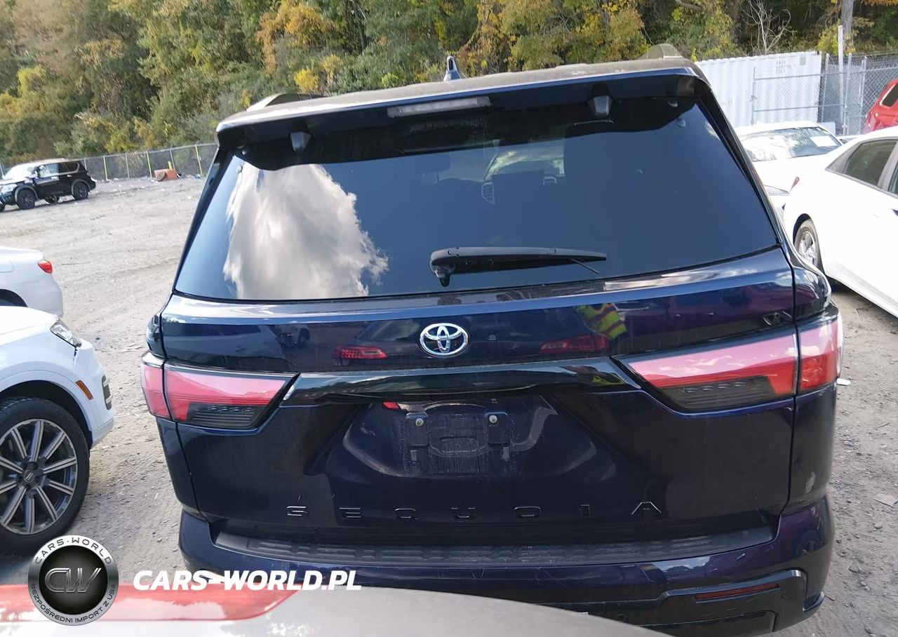 2023 Toyota Sequoia Platinum VIN:7SVAAABA0PX019037 - 16