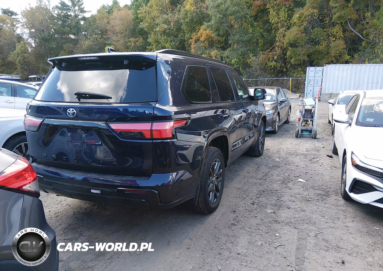 2023 Toyota Sequoia Platinum VIN:7SVAAABA0PX019037 - 4