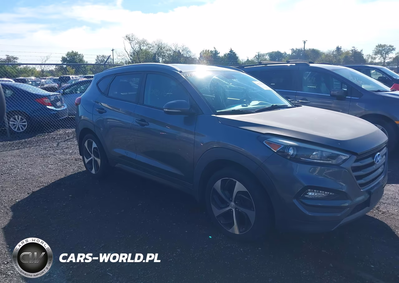 2016 Hyundai Tucson Sport VIN:KM8J3CA20GU147270 - 13