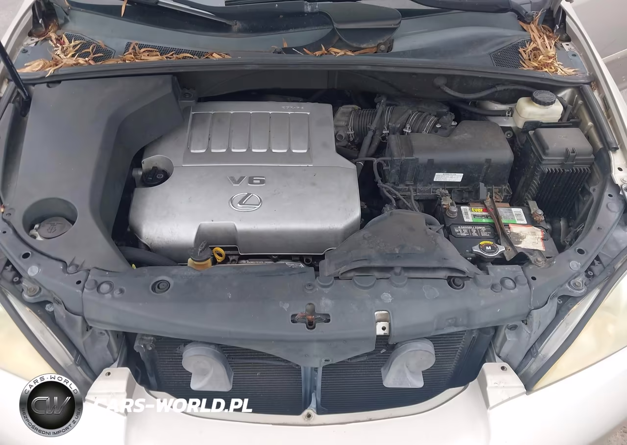 2007 Lexus Rx 350 VIN:2T2GK31U97C003471 - 10