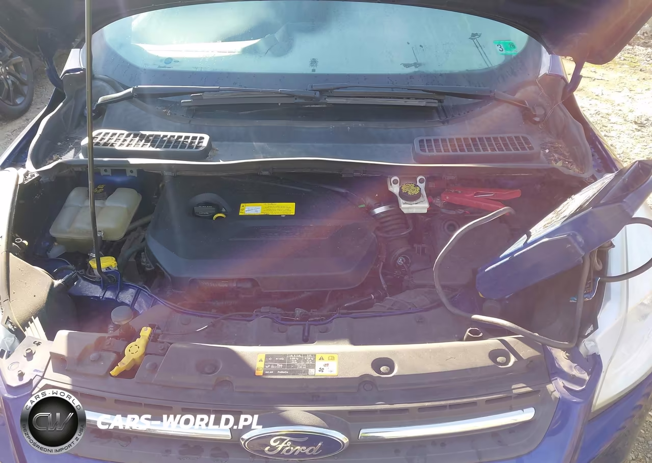 2016 Ford Escape Se VIN:1FMCU9GX2GUB65247 - 10