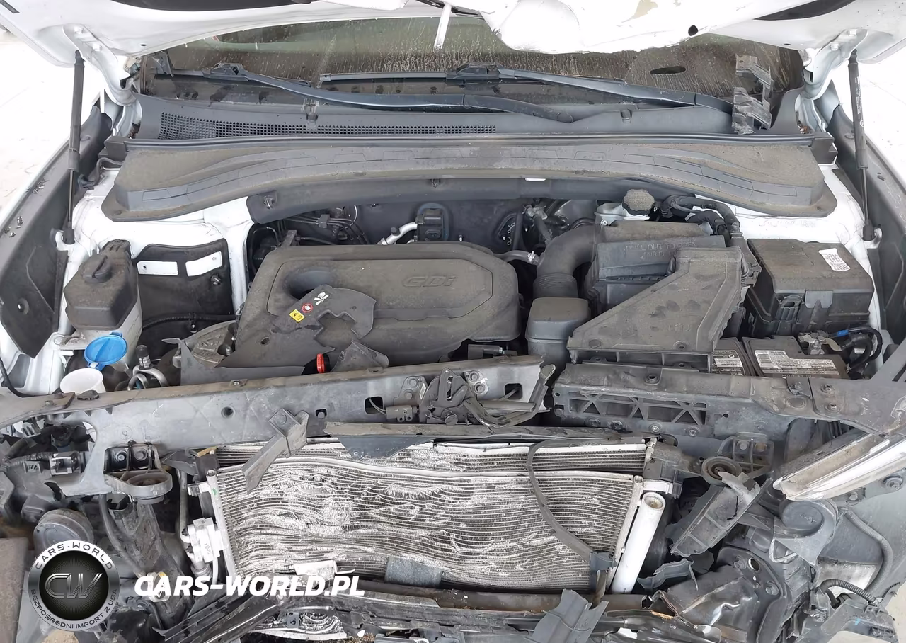 2019 Hyundai Santa Fe Se VIN:5NMS2CAD5KH078489 - 10