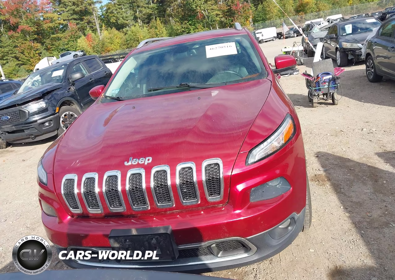 2014 Jeep Cherokee Limited VIN:1C4PJMDS2EW180312 - 12