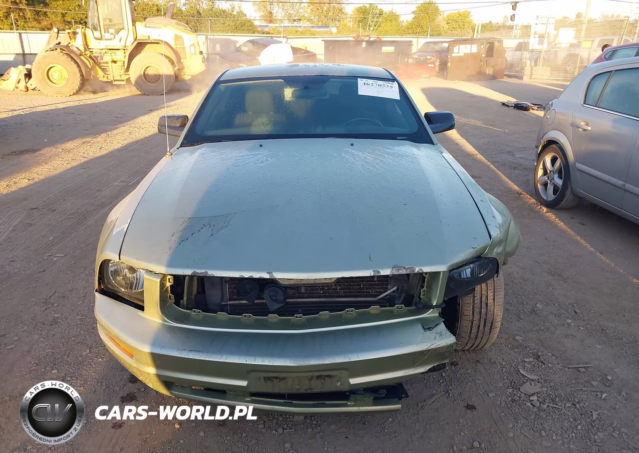 2006 Ford Mustang V6 VIN:1ZVFT80N665240769 - 13