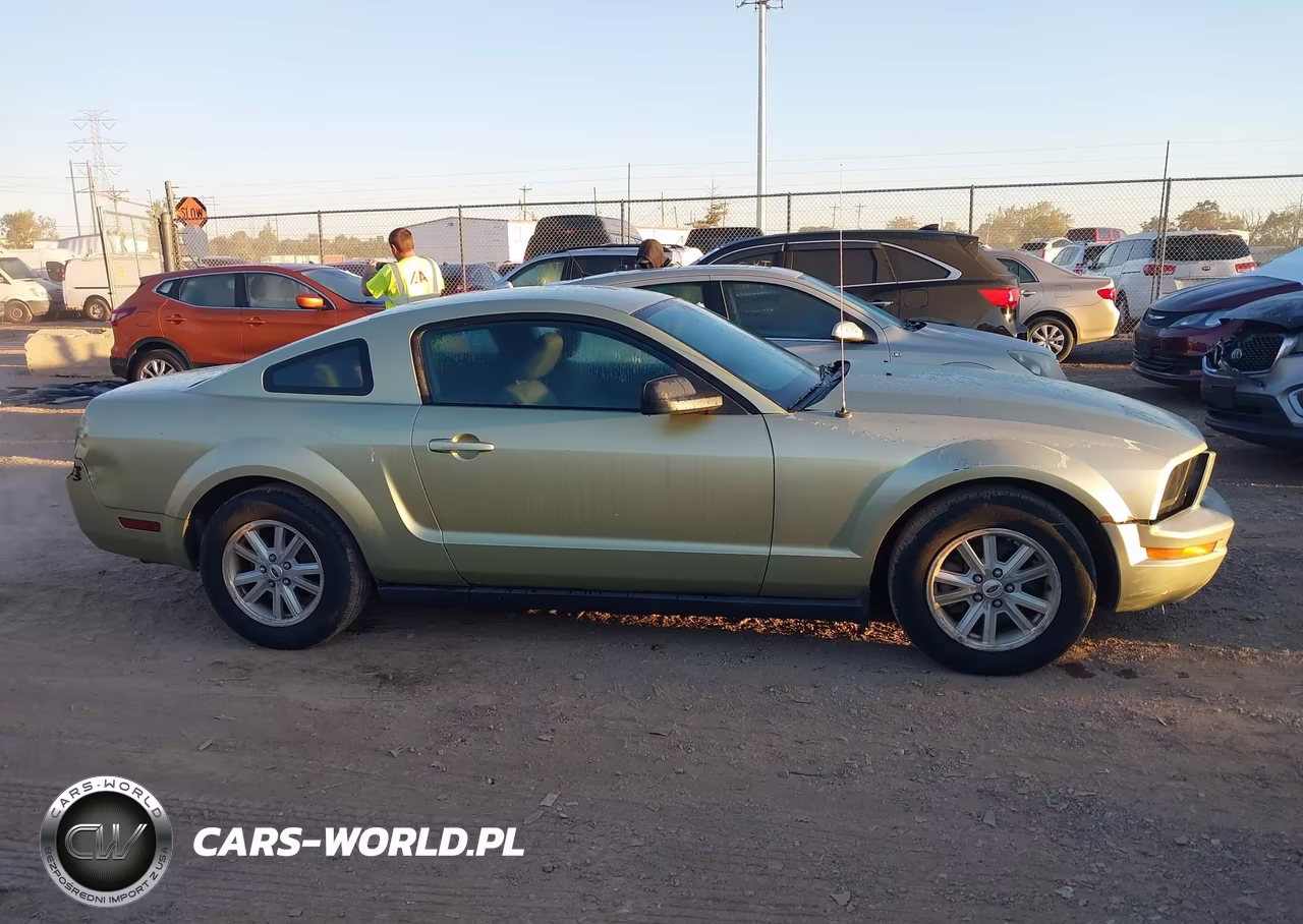 2006 Ford Mustang V6 VIN:1ZVFT80N665240769 - 14
