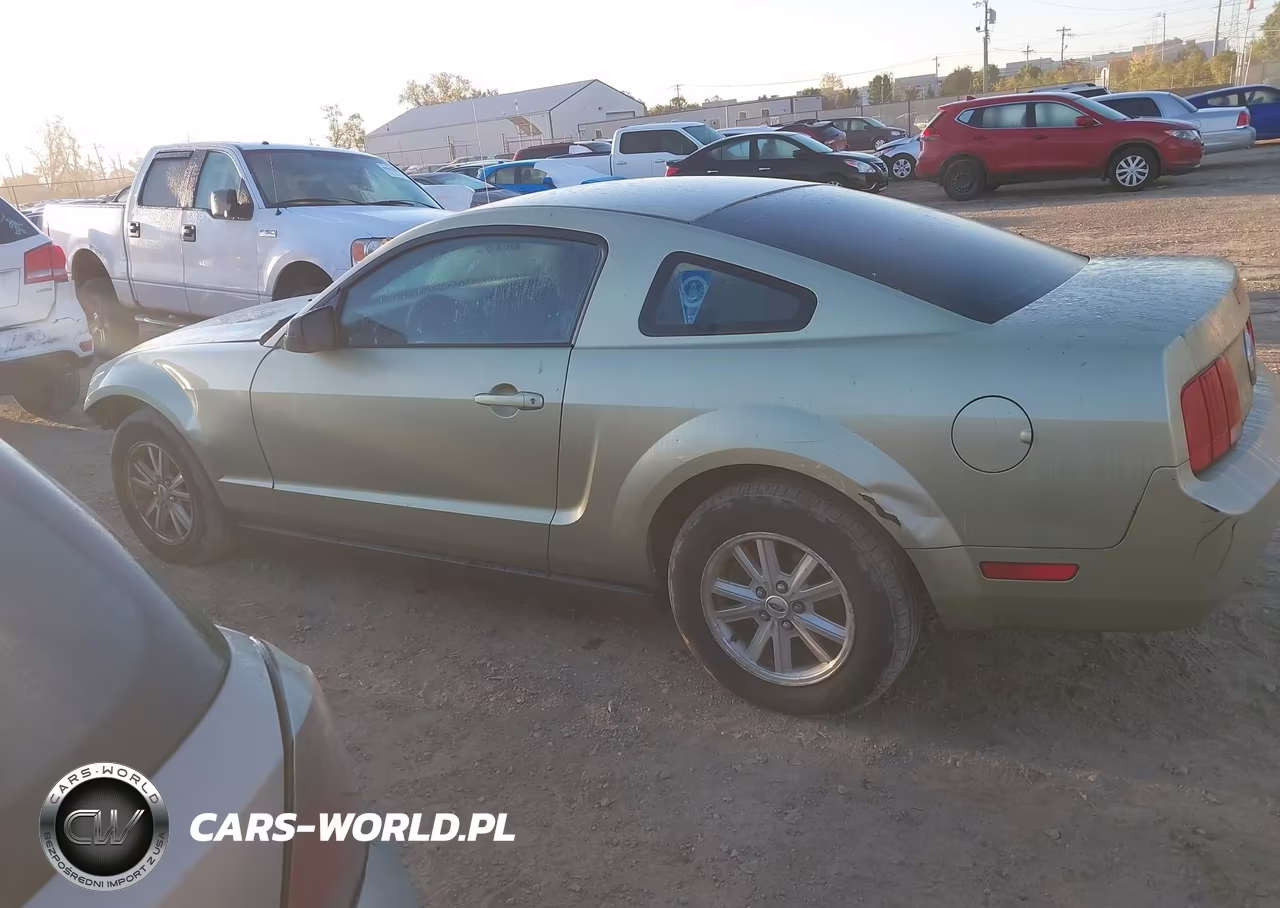 2006 Ford Mustang V6 VIN:1ZVFT80N665240769 - 15