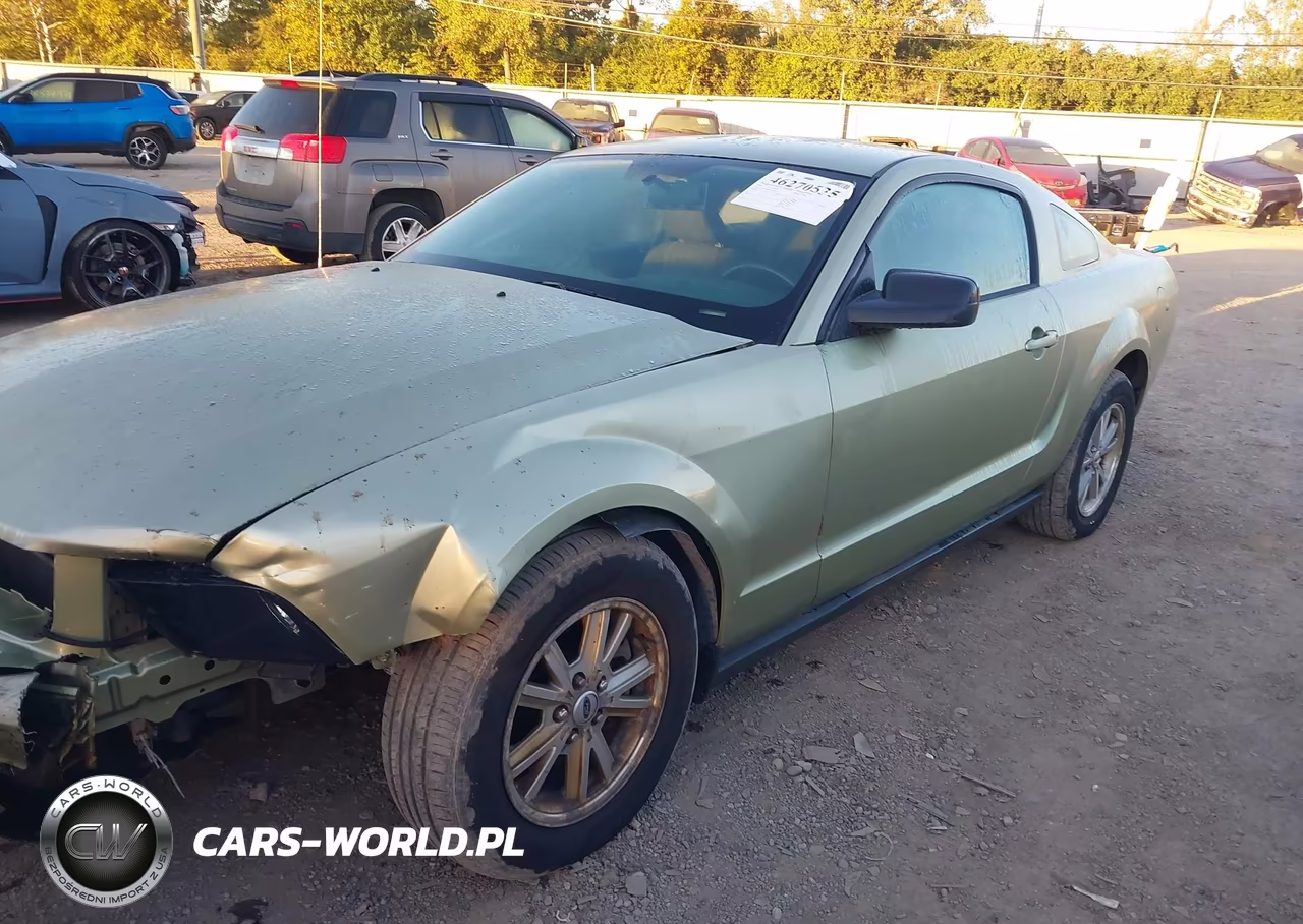 2006 Ford Mustang V6 VIN:1ZVFT80N665240769 - 2