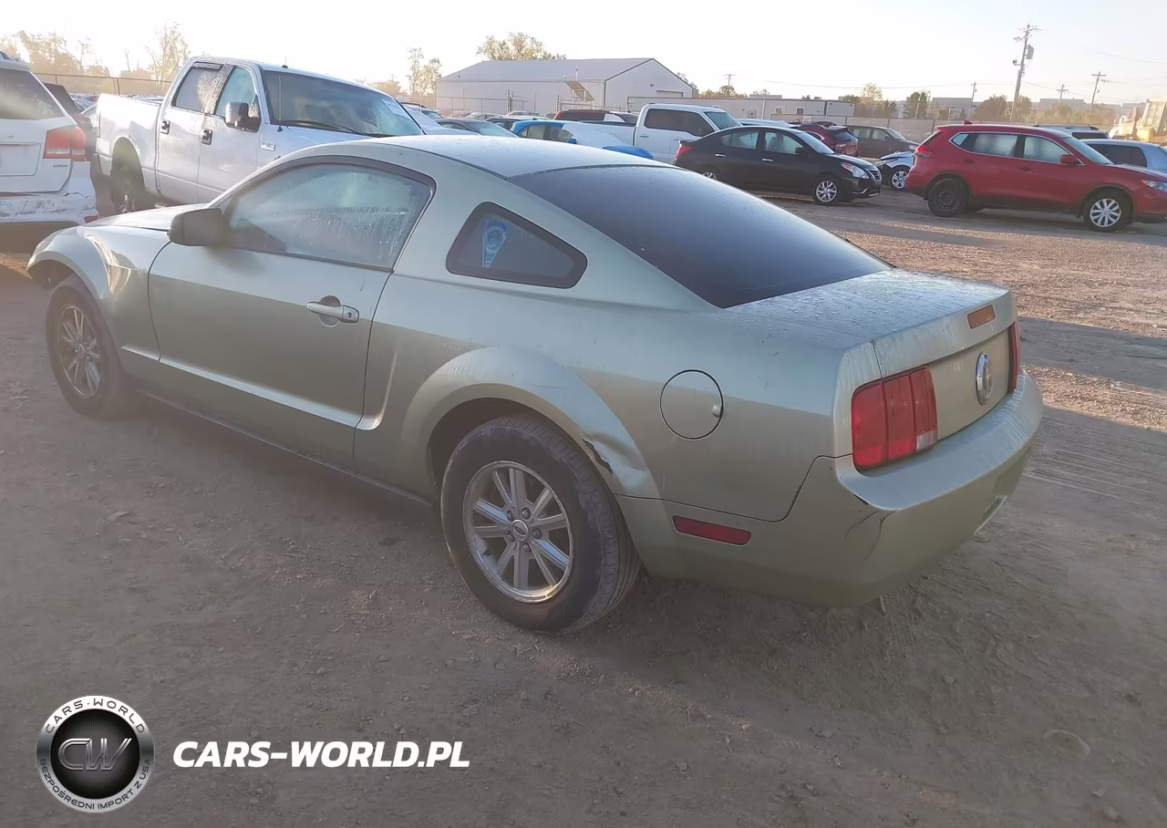 2006 Ford Mustang V6 VIN:1ZVFT80N665240769 - 3