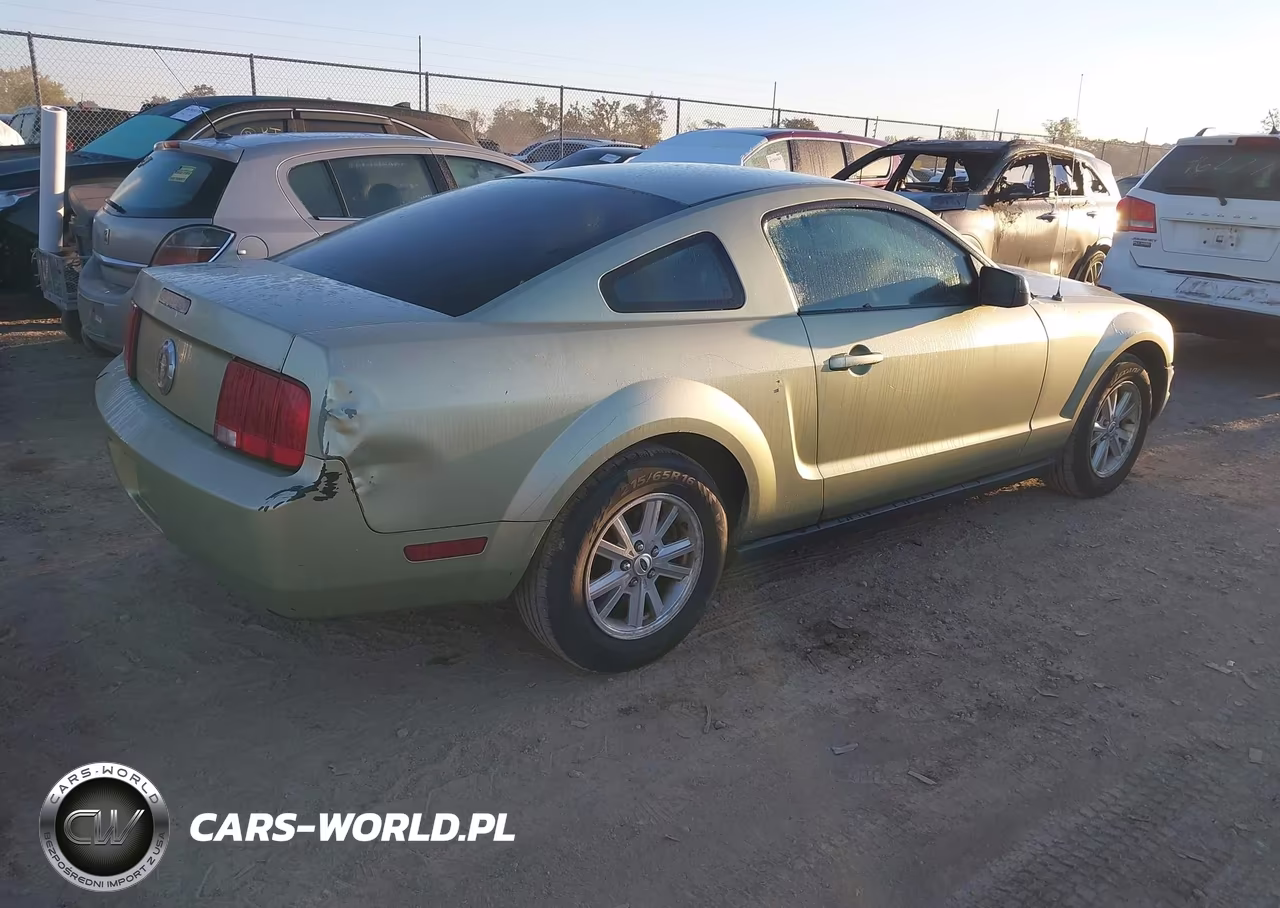 2006 Ford Mustang V6 VIN:1ZVFT80N665240769 - 4